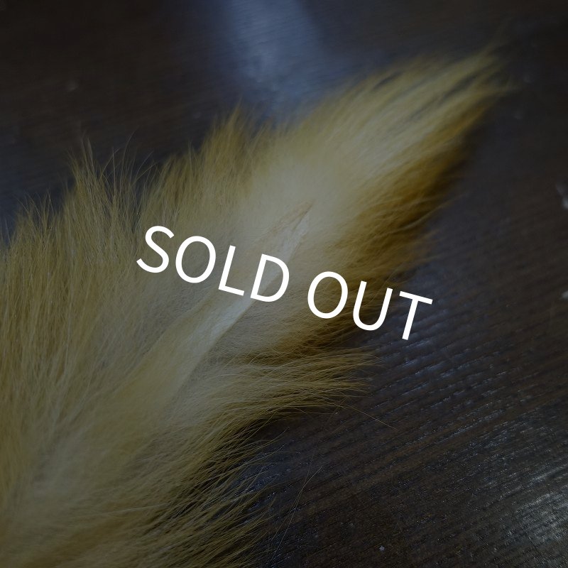 画像2: 【D】キテン テール (2)