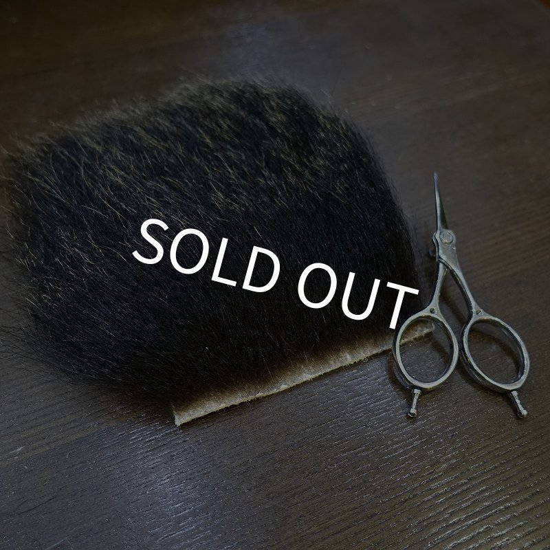 画像2: 【D】ヒグマ（北海道産） (2)