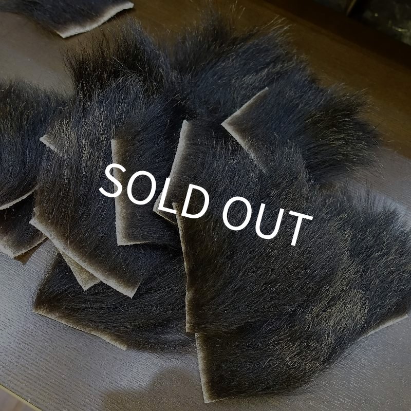 画像1: 【D】ヒグマ（北海道産） (1)