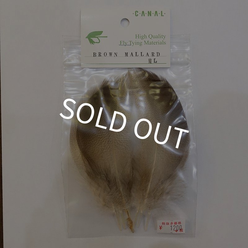 画像1: 【CANAL】Brown Mallard MLサイズ (1)