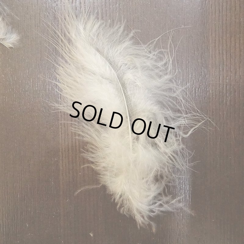 画像2: 【Nature'sSpirit】プライムマラブー (2)