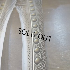 画像4: 【D】アーガスフェザント　ウイングクイルペア　Mサイズ