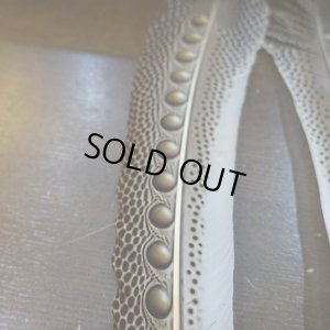 画像5: 【D】アーガスフェザント　ウイングクイルペア　Mサイズ