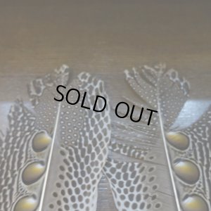 画像6: 【D】アーガスフェザント　ウイングクイルペア　Mサイズ