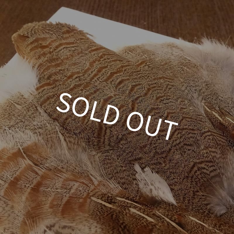 画像4: 【ANGLE】Partridge Complete Skin EXT #1(ウィング無) (4)