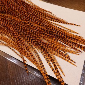 画像3: 【KEOUGH】GRIZZLY SADDLE HACKLE #2