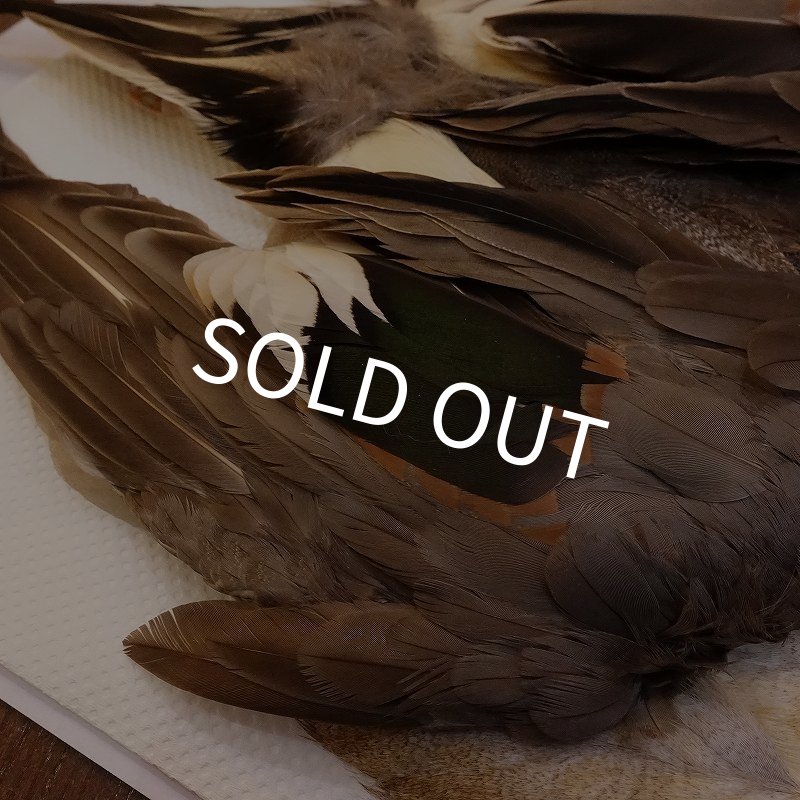 画像5: 【CANAL】ピンテール・コンプリート No.1 (5)