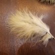 画像6: 【ANGLE】WOOLY BUGGER MARABOU ウーリーバガー マラブー (6)