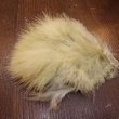 画像5: 【ANGLE】WOOLY BUGGER MARABOU ウーリーバガー マラブー (5)