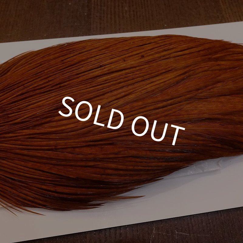 画像4: 【WHITING】High & Dry ROOSTER Cape - DYED BROWN No.1 (4)