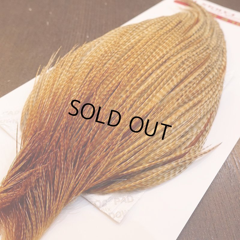 画像2: 【Whiting】ROOSTER CAPE PRO Grade - BARRED DK GINGER (2)