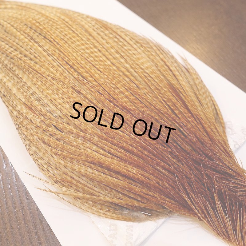 画像3: 【Whiting】ROOSTER CAPE PRO Grade - BARRED DK GINGER (3)