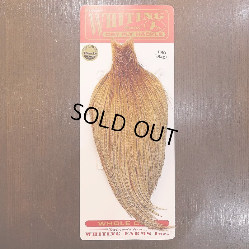 画像1: 【Whiting】ROOSTER CAPE PRO Grade - BARRED DK GINGER (1)