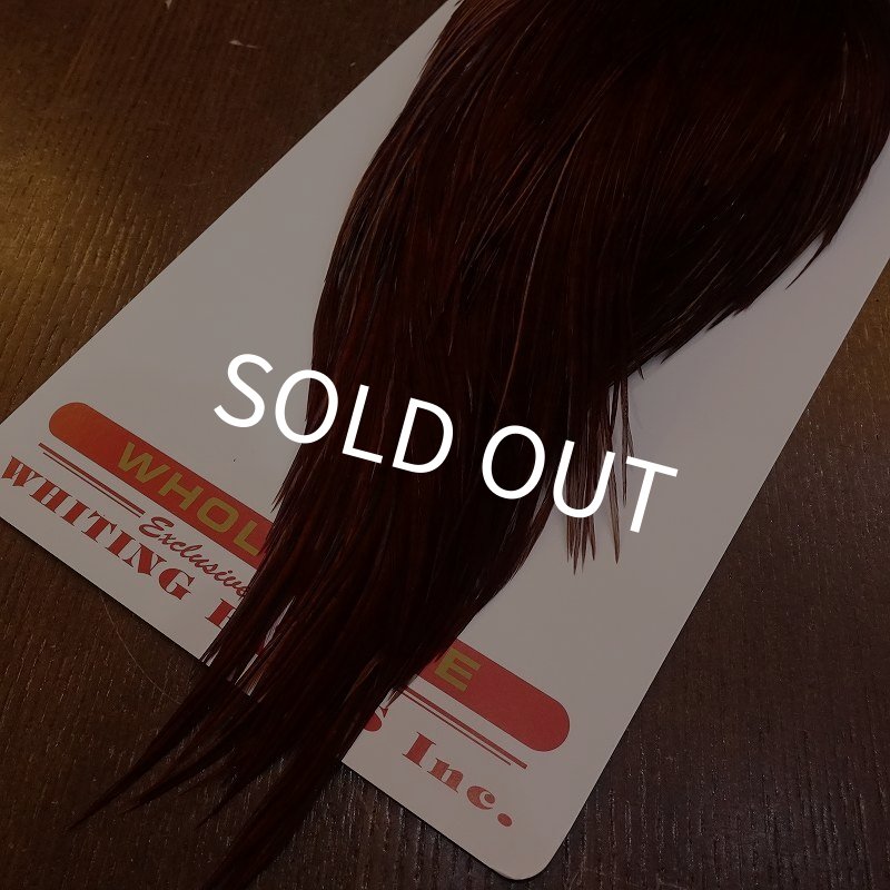 画像5: 【Whiting】ROOSTER CAPE Bronze Grade - DYED COACHMAN BROWN No.3 (5)