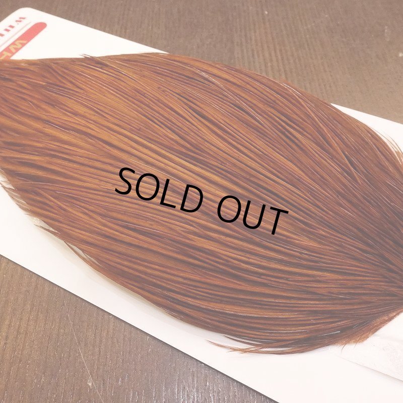 画像3: 【Whiting】ROOSTER CAPE Bronze Grade - DYED BROWN No.2 (3)