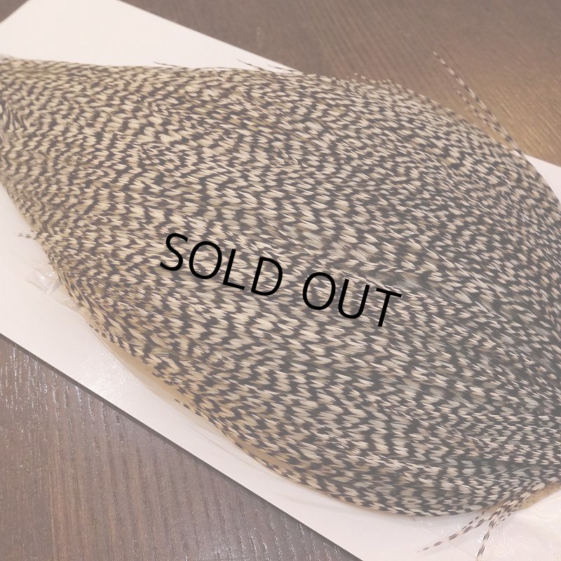 画像3: 【WHITING】High & Dry ROOSTER Cape - Grizzly No.2 (3)