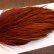 画像4: 【WHITING】High & Dry ROOSTER Cape - BROWN No.2 (4)