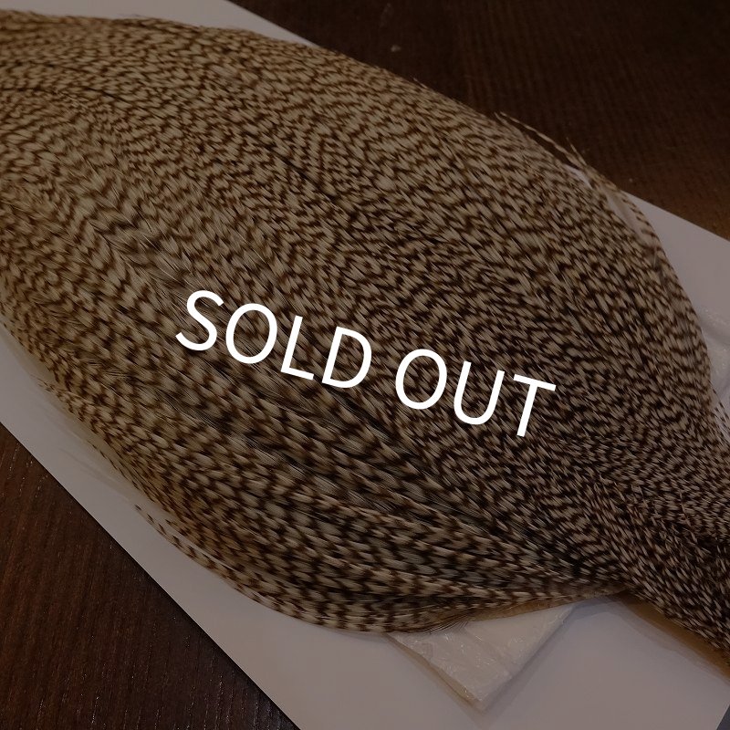 画像3: 【WHITING】High & Dry ROOSTER Cape - DUN GRIZZLY No.2 (3)