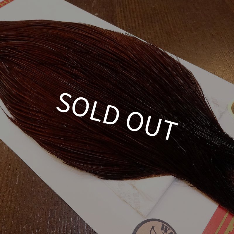 画像3: 【Whiting】ROOSTER CAPE Bronze Grade - DYED COACHMAN BROWN No.3 (3)