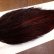 画像4: 【Whiting】ROOSTER CAPE Bronze Grade - DYED COACHMAN BROWN No.4 (4)