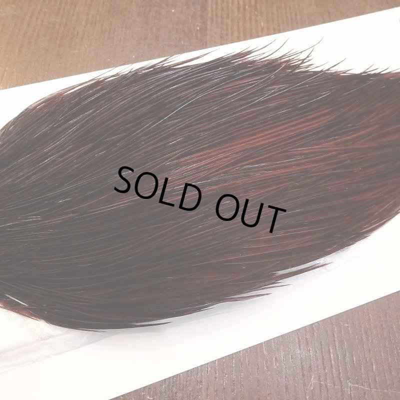 画像4: 【Whiting】ROOSTER CAPE Bronze Grade - DYED COACHMAN BROWN No.4 (4)