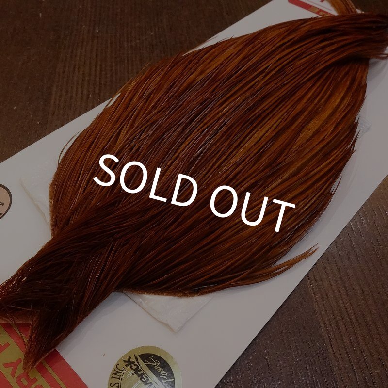 画像2: 【Whiting】ROOSTER CAPE Bronze Grade - DYED BROWN No.1 (2)