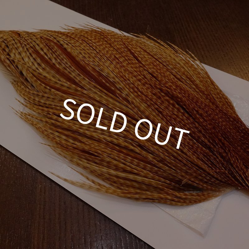 画像3: 【WHITING】High & Dry ROOSTER Cape - BARRED DARK GINGER No.1 (3)