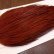 画像4: 【WHITING】High & Dry ROOSTER Cape - BROWN No.1 (4)