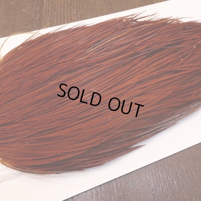 画像4: 【WHITING】High & Dry ROOSTER Cape - BROWN No.1 (4)