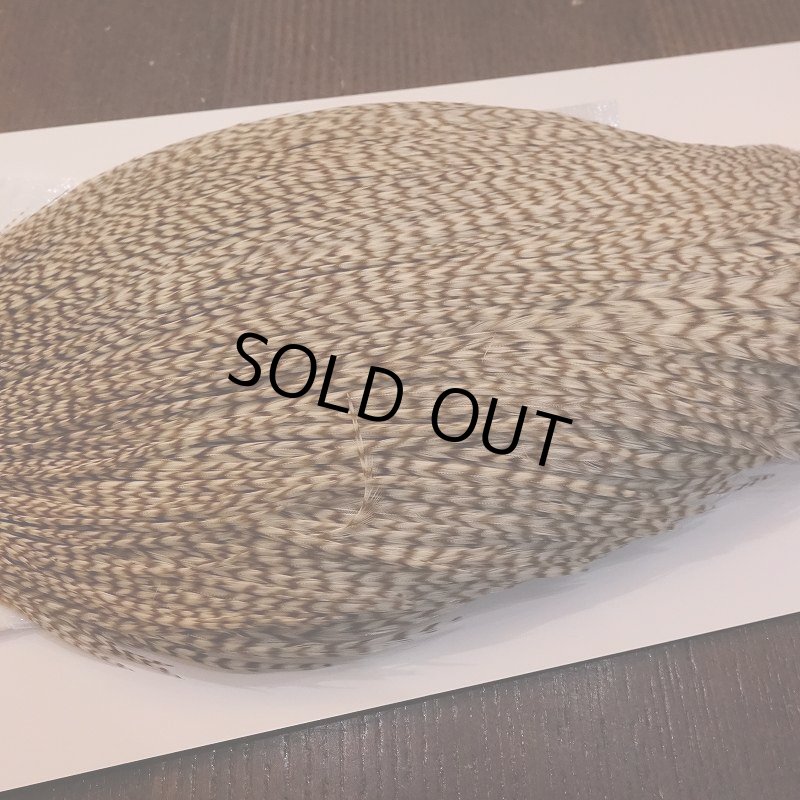 画像4: 【WHITING】High & Dry ROOSTER Cape - DUN GRIZZLY No.1 (4)