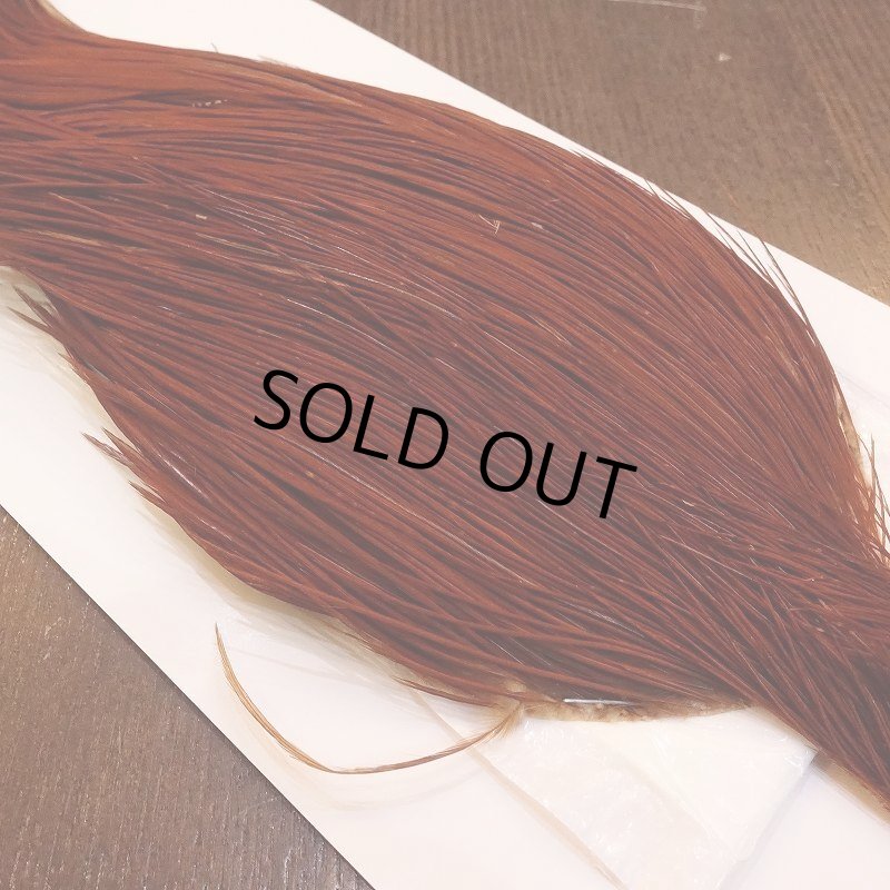 画像3: 【WHITING】High & Dry ROOSTER Cape - BROWN No.1 (3)