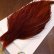 画像2: 【WHITING】High & Dry ROOSTER Cape - BROWN No.2 (2)