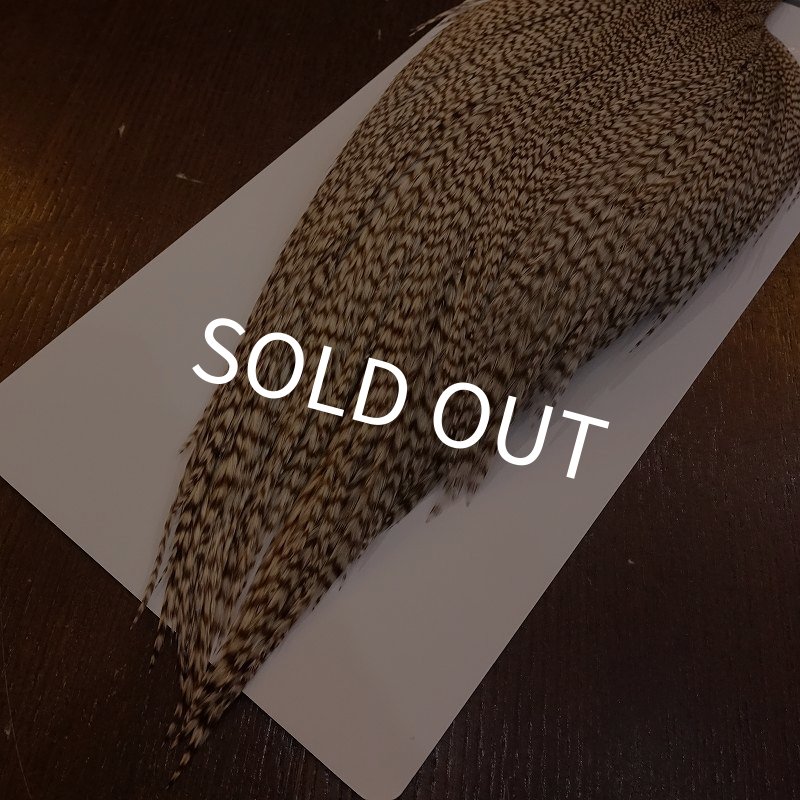 画像5: 【WHITING】High & Dry ROOSTER Cape - DUN GRIZZLY No.2 (5)