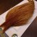 画像2: 【WHITING】High & Dry ROOSTER Cape - BARRED DARK GINGER No.1 (2)