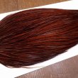 画像4: 【Whiting】ROOSTER CAPE Bronze Grade - DYED COACHMAN BROWN No.2 (4)