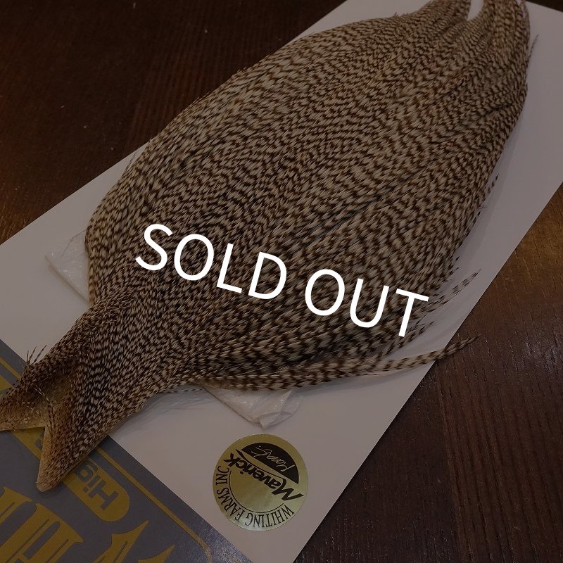 画像2: 【WHITING】High & Dry ROOSTER Cape - DUN GRIZZLY No.2 (2)