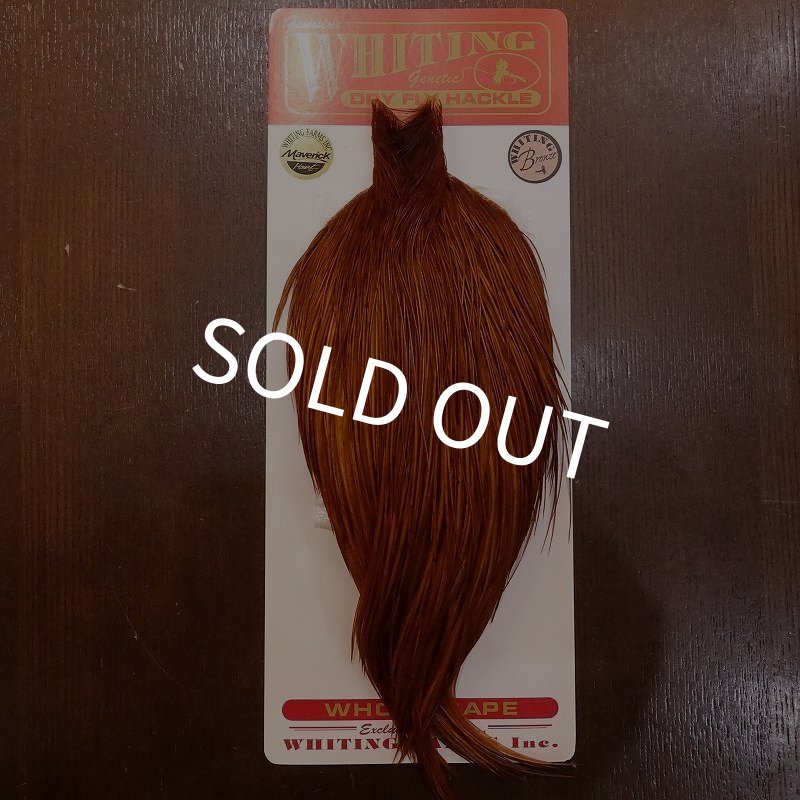 画像1: 【Whiting】ROOSTER CAPE Bronze Grade - DYED BROWN No.1 (1)