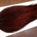 画像4: 【Whiting】ROOSTER CAPE Bronze Grade - DYED COACHMAN BROWN No.3 (4)