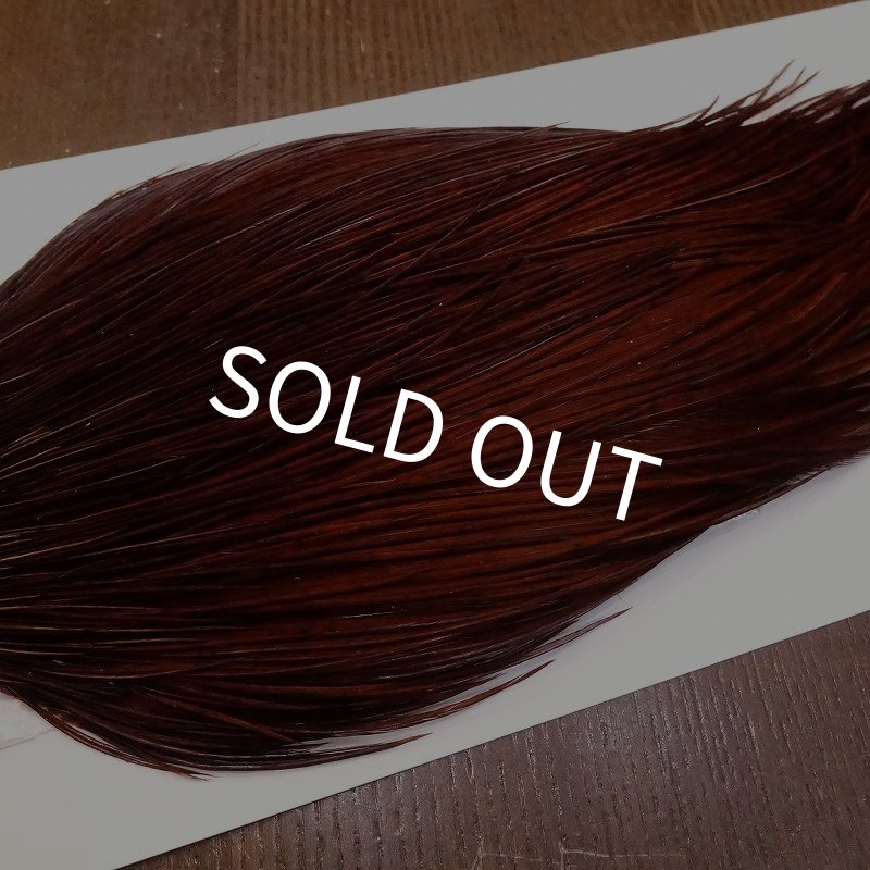 画像4: 【Whiting】ROOSTER CAPE Bronze Grade - DYED COACHMAN BROWN No.3 (4)