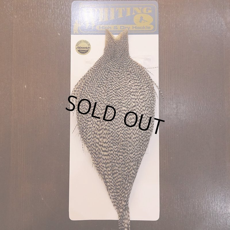 画像1: 【WHITING】High & Dry ROOSTER Cape - Grizzly No.2 (1)