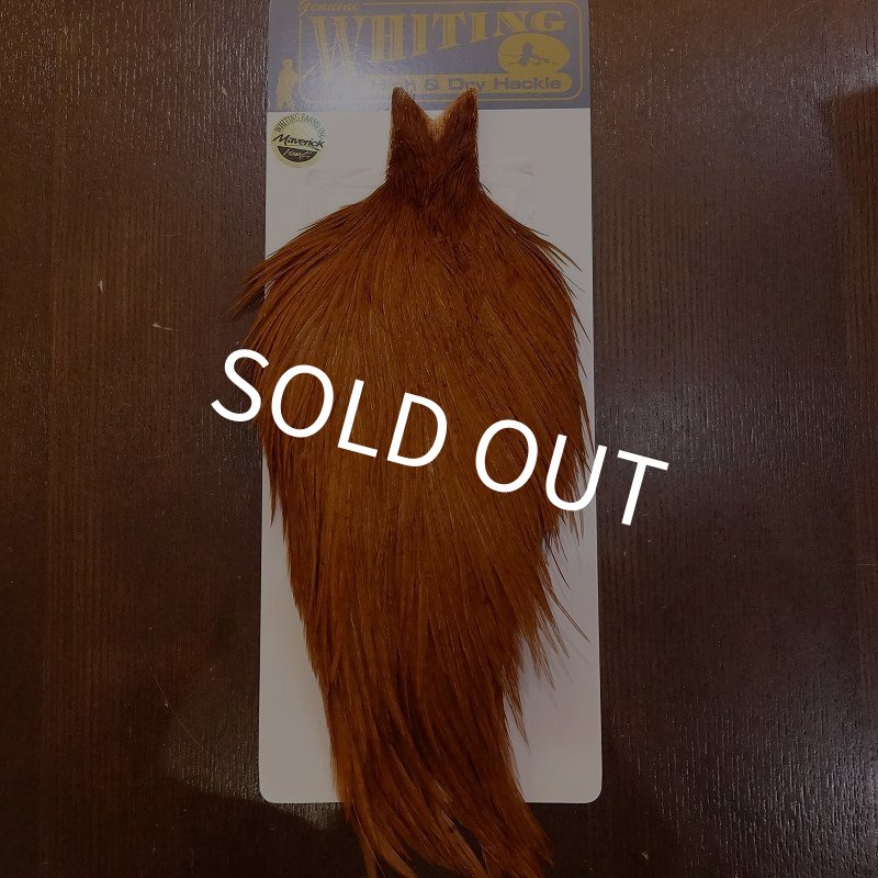 画像1: 【WHITING】High & Dry ROOSTER Cape - DYED BROWN No.2 (1)