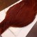 画像2: 【WHITING】High & Dry ROOSTER Cape - BROWN No.1 (2)