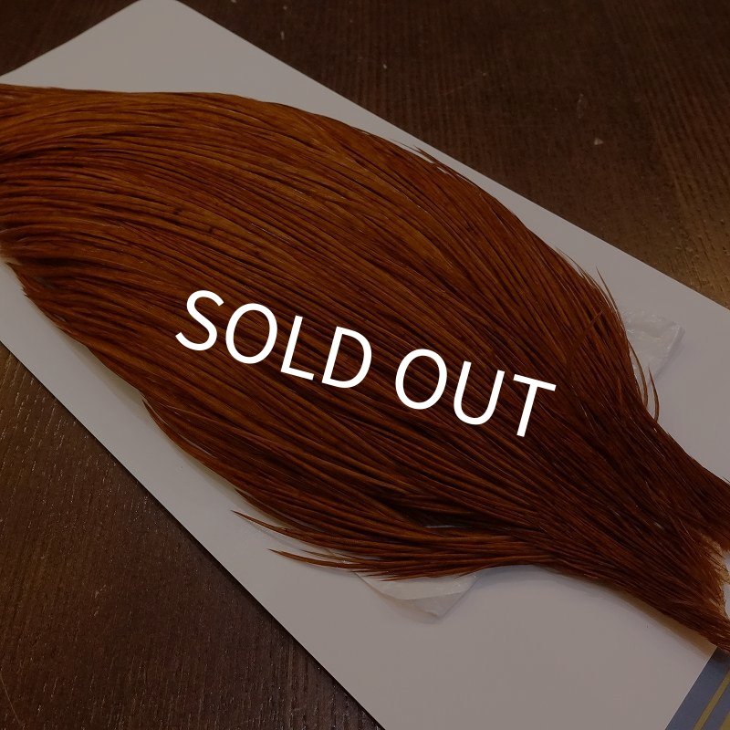 画像3: 【WHITING】High & Dry ROOSTER Cape - DYED BROWN No.1 (3)