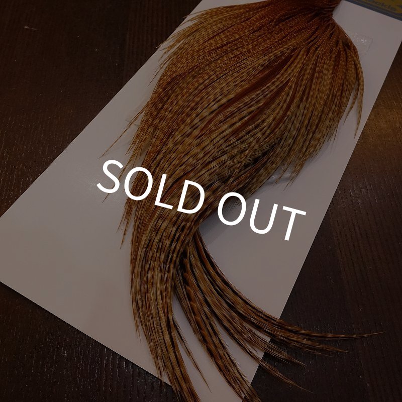 画像5: 【WHITING】High & Dry ROOSTER Cape - BARRED DARK GINGER No.1 (5)