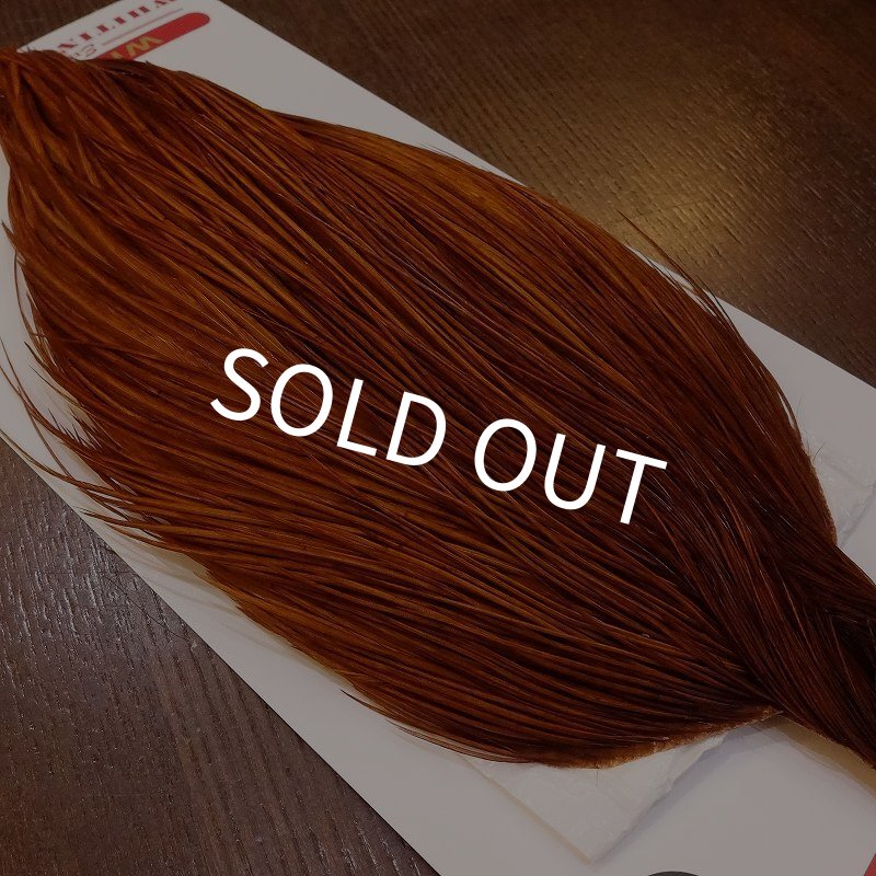 画像3: 【Whiting】ROOSTER CAPE Bronze Grade - DYED BROWN No.1 (3)
