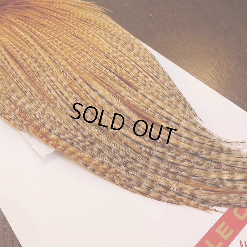 画像5: 【Whiting】ROOSTER CAPE PRO Grade - BARRED DK GINGER (5)