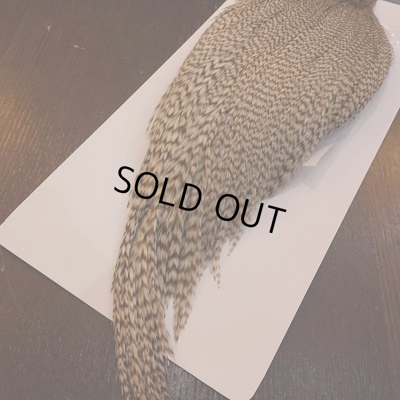 画像5: 【WHITING】High & Dry ROOSTER Cape - DUN GRIZZLY No.1 (5)