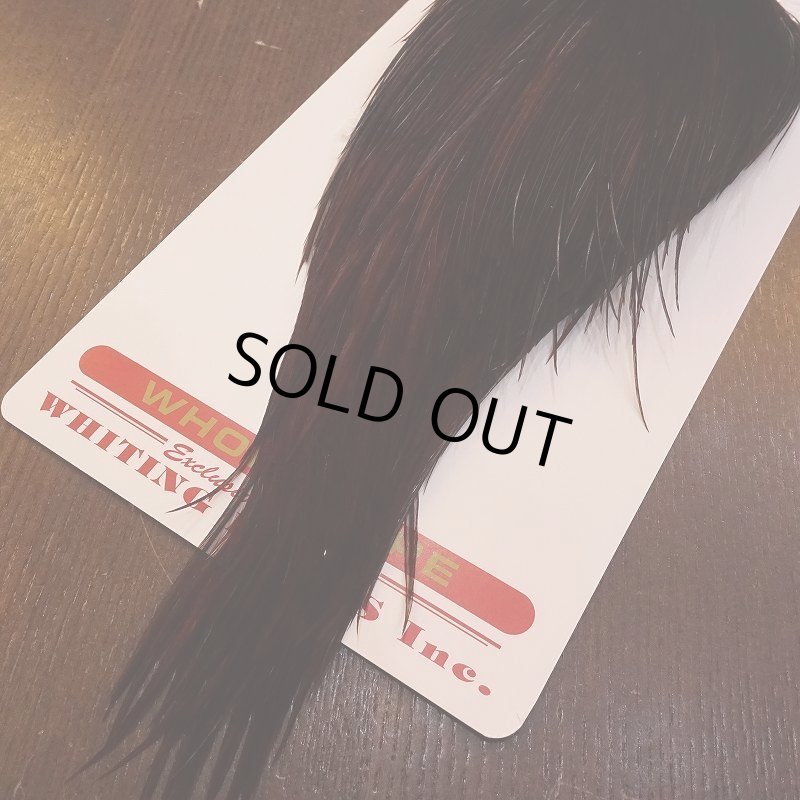 画像5: 【Whiting】ROOSTER CAPE Bronze Grade - DYED COACHMAN BROWN No.4 (5)