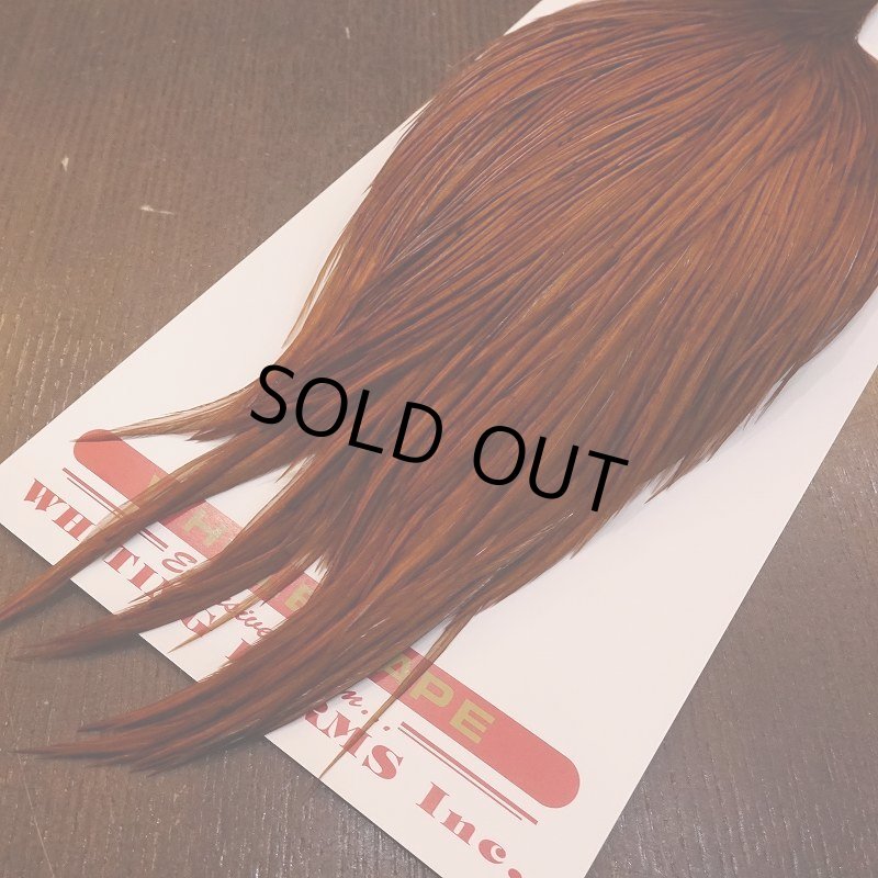 画像5: 【Whiting】ROOSTER CAPE Bronze Grade - DYED BROWN No.2 (5)