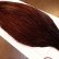 画像3: 【Whiting】ROOSTER CAPE Bronze Grade - DYED COACHMAN BROWN No.2 (3)